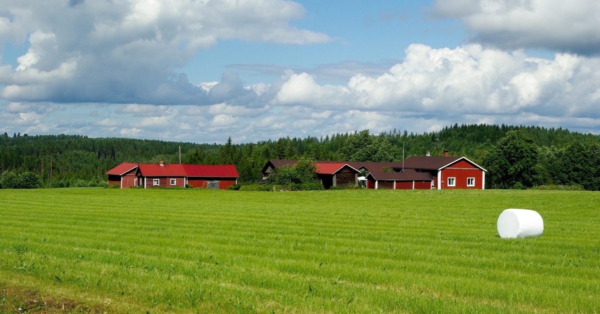 Finnish agriculture scenery.