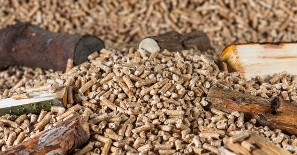 Pile of wood pellets with logs in the background.