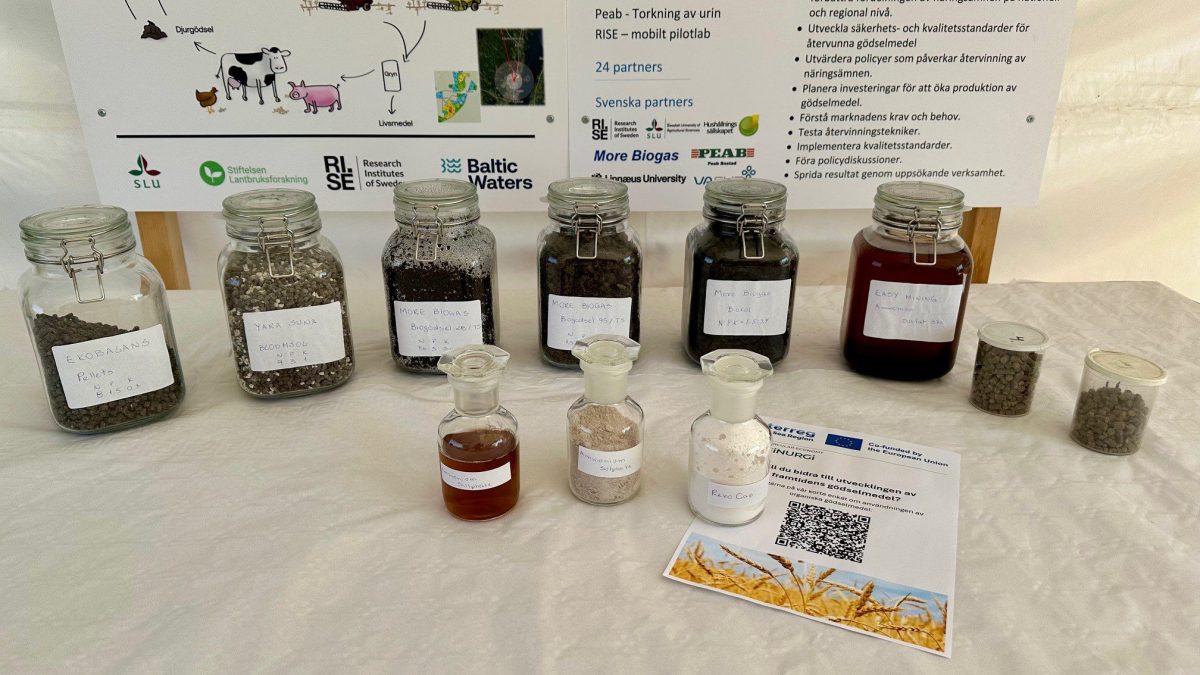 Samples of different kind of fertilizers.