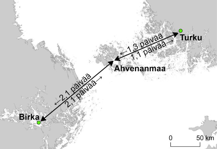 Karttamallinnos viikinkiajan purjehdusreiteistä